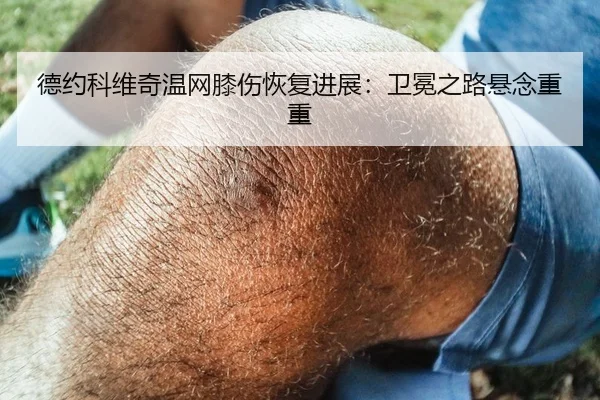 德约科维奇温网膝伤恢复进展：卫冕之路悬念重重